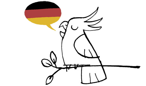Cockatoo speaking German illustration Streich