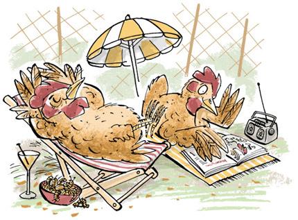 Illustration of two chickens on holidays, sunning themselves ina deckchair, reading magazines and drinking cocktails - humorous line drawing by Michel Streich