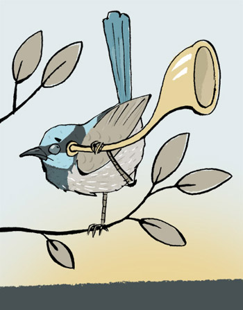 Illustration of an Australian wren holding up an old-fashioned hearing aid to its ear area - humorous line drawing by Michel Streich