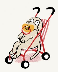 Illustration of a puppy with a dummy in its mouth, sitting in a pram - humorous line drawing by Michel Streich